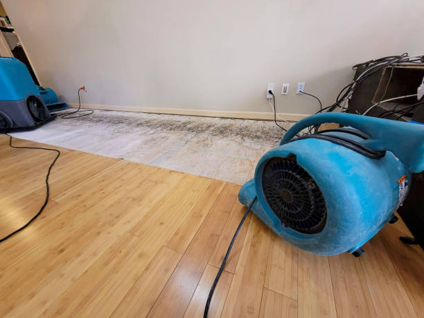 Professional Emergency Water Damage technician working in Cabazon, CA